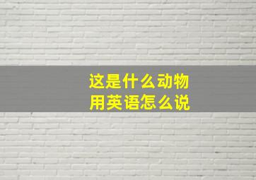 这是什么动物 用英语怎么说